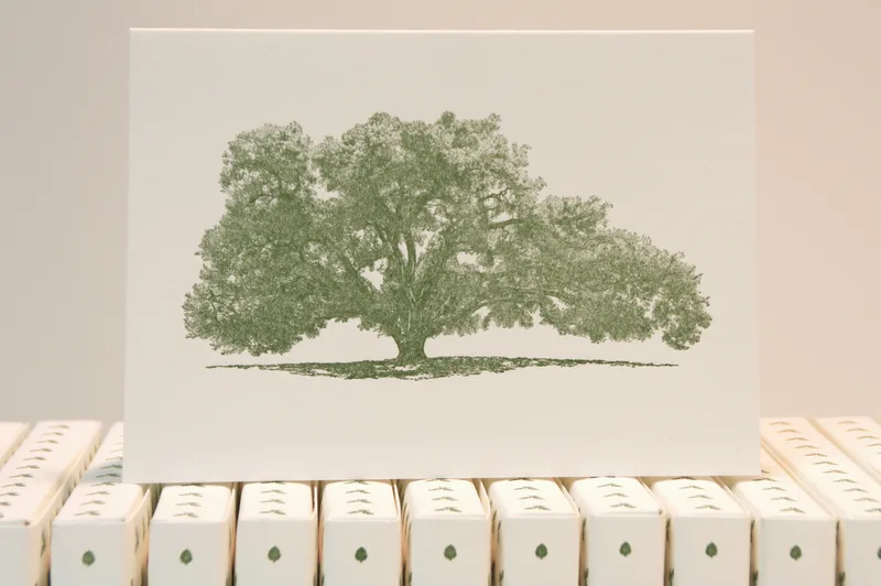 Promise Land Tree Writing Cards - Box Set of 6